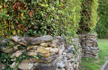 Aurelia Rta Detta il Cascinale - Foto 3