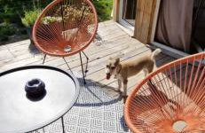 Ostoja Będzyn- Wypoczynek nad Pilicą - Foto 18