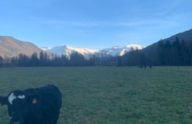 House 11 guests 2 cozy apartments near ski slopes - Foto 60