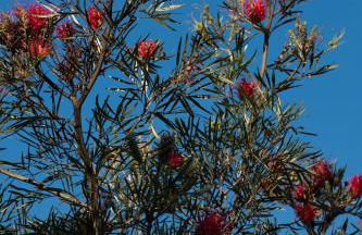 Casa Laranjeiras, Rio da Barra beach, Trancoso - Foto 68