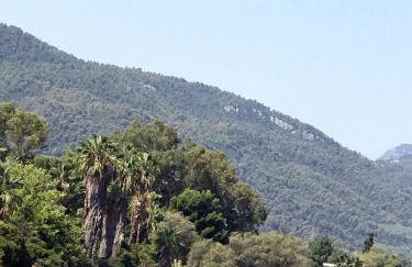 Studio Kalypso - Foto 7