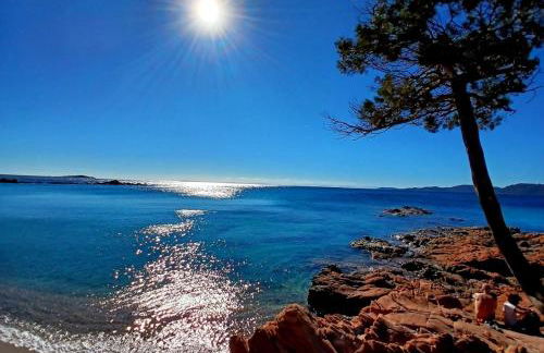 VILLA LE CORAIL ROUGE CORSE - Foto 27