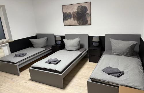 Frankfurter 21 Haus - 2 WE, 2 Küchen, 2 Bäder, 6 SZ, 19 Betten - Foto 52