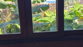 Brisa do Santinho - Photo 5