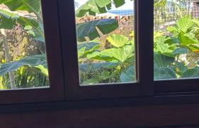 Brisa do Santinho - Foto 5