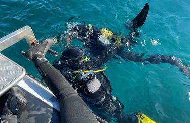 Casa da Adega - Photo 32