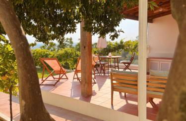 Lezíria Houses - Ribatejo - Foto 36