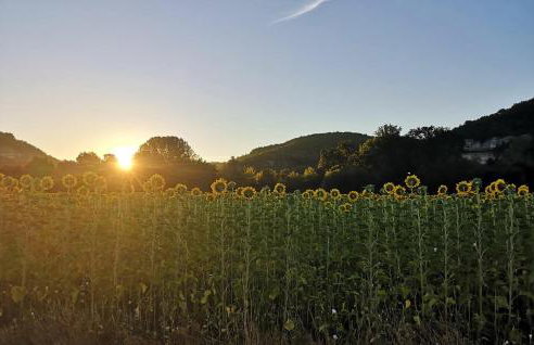 Charmant Avec Vue Paysagère - Foto 33
