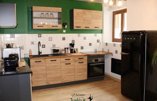 MAISON "Jungle House" 90 m2 BILLARD, RÉTROPROJECTEUR, BAR À JEUX , VINYLE, WIFI FIBRE, idéal PRO & FAMILLE à Montbrison - Foto 14