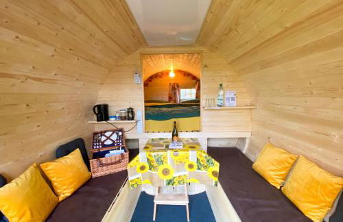 Kuhle Auszeit - Fass Sonnenblume - Foto 7