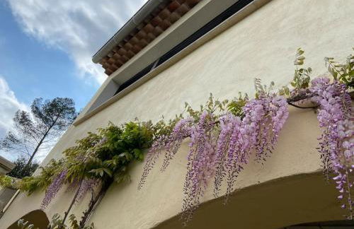 LIS ESTELLO - Gîte à FLAYOSC VAR - Foto 24