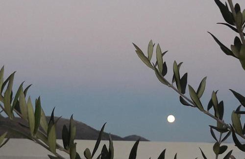 Little Penthouse with Open Terrace - Photo 27