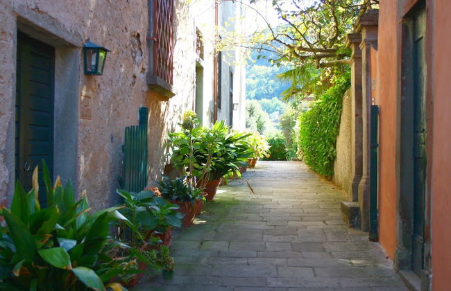 Rustic Farmhouse Stay, Carmignano - Foto 26