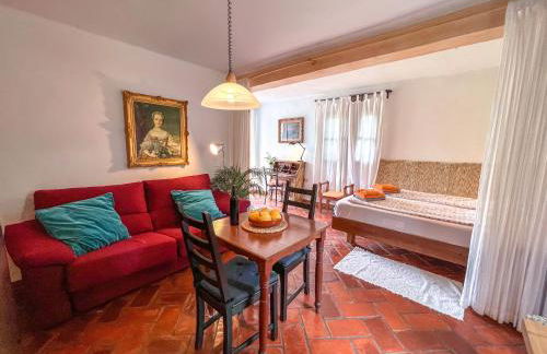 Tropical Studio - Foto 14