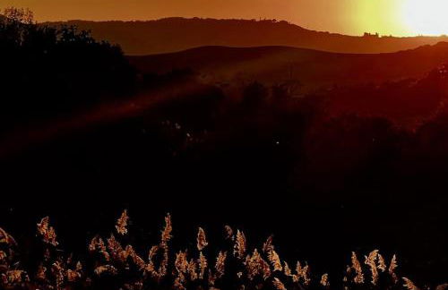 Molino della Tuoma - Foto 16