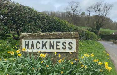 Shepherds hut, Eco, Log burner Hot tub NY moors - Foto 16