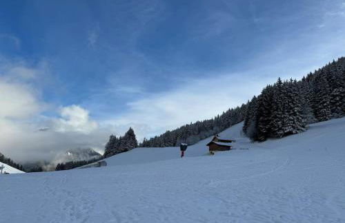 2-bed appt 20 mins from Morzine Portes du Soleil French Alps - Foto 1