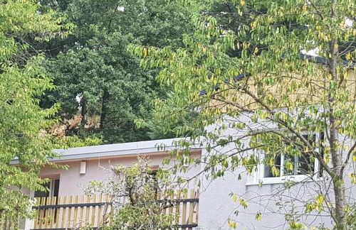 GITE BAS-EN-BASSET, HAUTE-LOIRE, MAISON et JARDIN ATYPIQUE PLEINE NATURE - Foto 26