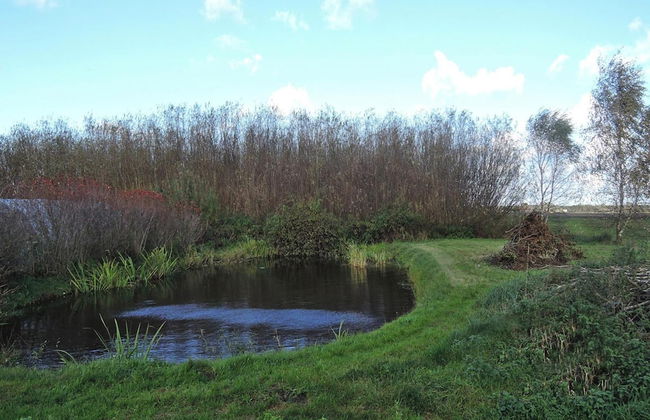 Agriculture - Studios, Borzyslawiec by Lubczyna - Photo 15