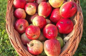 Dom Wakacyjny Kuszewo - Foto 43