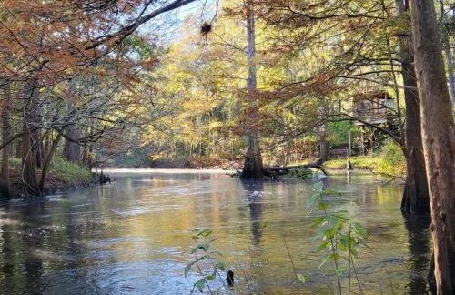 River Daze Cabin - A cozy cabin right on the river - Foto 15