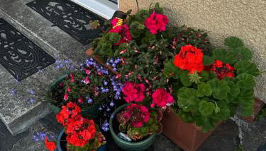 Snowdonia coastal getaway ideal for groups up to 6 - Foto 2