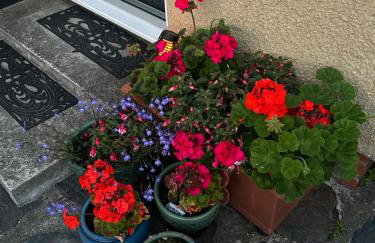 Snowdonia coastal getaway ideal for groups up to 6 - Foto 2