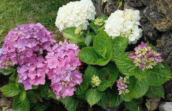 Nanna's Country Home - Photo 60