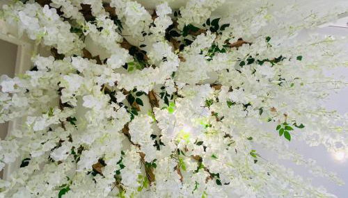 Cocon Romantique & Bain Nordique sur Vue Panoramique à Vichy - Foto 3