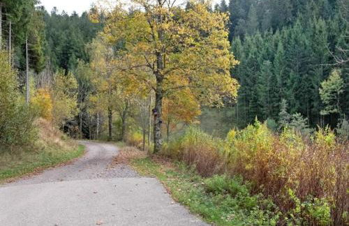 Apartment in Gutenbach With Nearby Forest - Foto 53