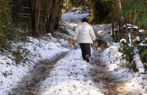 El Pedrueco turismo rural - Foto 69