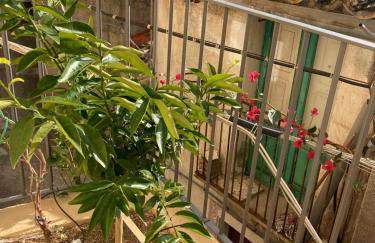 Nina's House , nonna Lucia - Photo 30