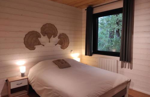 Eco-lodges Lacanau Moutchic Inn - 4 pers - Foto 1