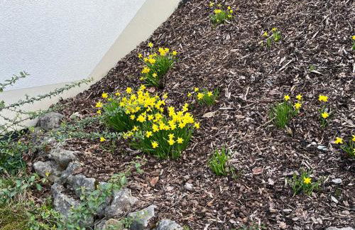 Ferienwohnung Sonnengarten - Foto 13