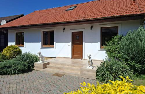 Biały Domek dla 6 osób oraz Domek Sternika dla 4 osób - jezioro, las, wiejski klimat - Foto 3