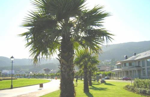 DISFRUTE DE SUS VACACIONES CON WIFI EN EL PUERTO DE CARIÑo - Foto 60