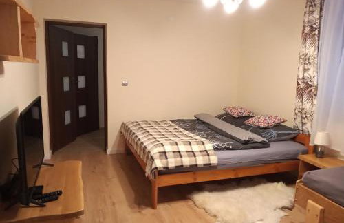 Dom na Krzemienicy - Foto 11