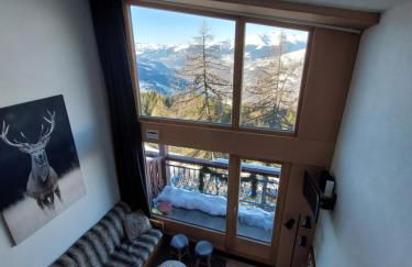 RESIDENCE LE RUITOR Duplex dernier étage vue panoramique classé 4 Cristaux Paradiski - Foto 4