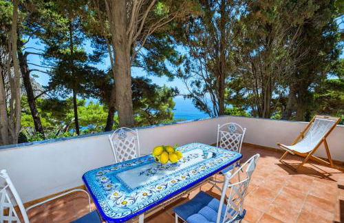 Casa Schiattarella Capri - Foto 49