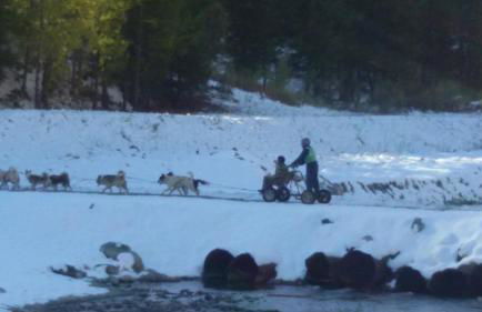 Baita del Plan - Foto 60