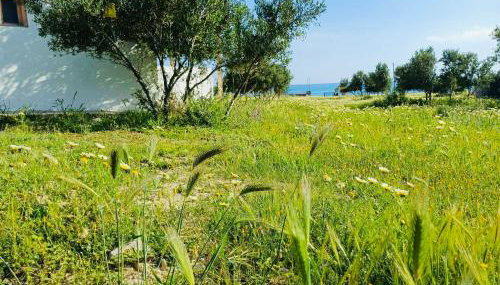 Tsikalario Beach House - Foto 3