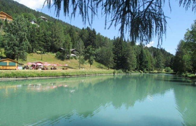 Dream Cosy & Quiet Chalet 9 Pers - Foto 34