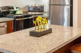 First Floor 2B2B • Pool, Gym, Dog Park • Near DTA - Foto 5