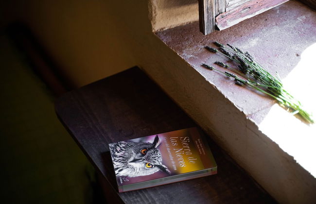 Algaba de Ronda - Foto 37