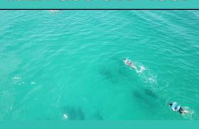 Peace On The Beach House - Foto 22