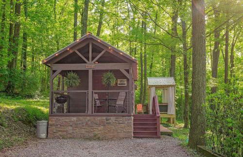 Stefan Cabin Nature-nested Tiny Home Hot Tub - Foto 4