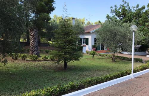 Villa Il Carrubo - Basilicata - Foto 12