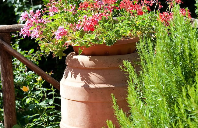 Borgo San Savino - Foto 18