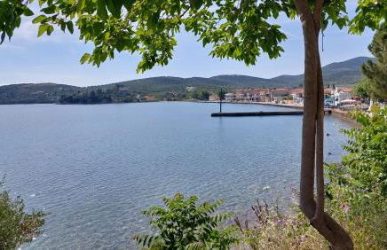 Mitzela Mare House - Photo 33