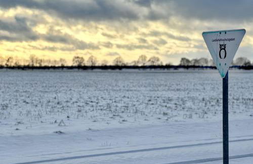 Ferienhaus Landruhe - Foto 33